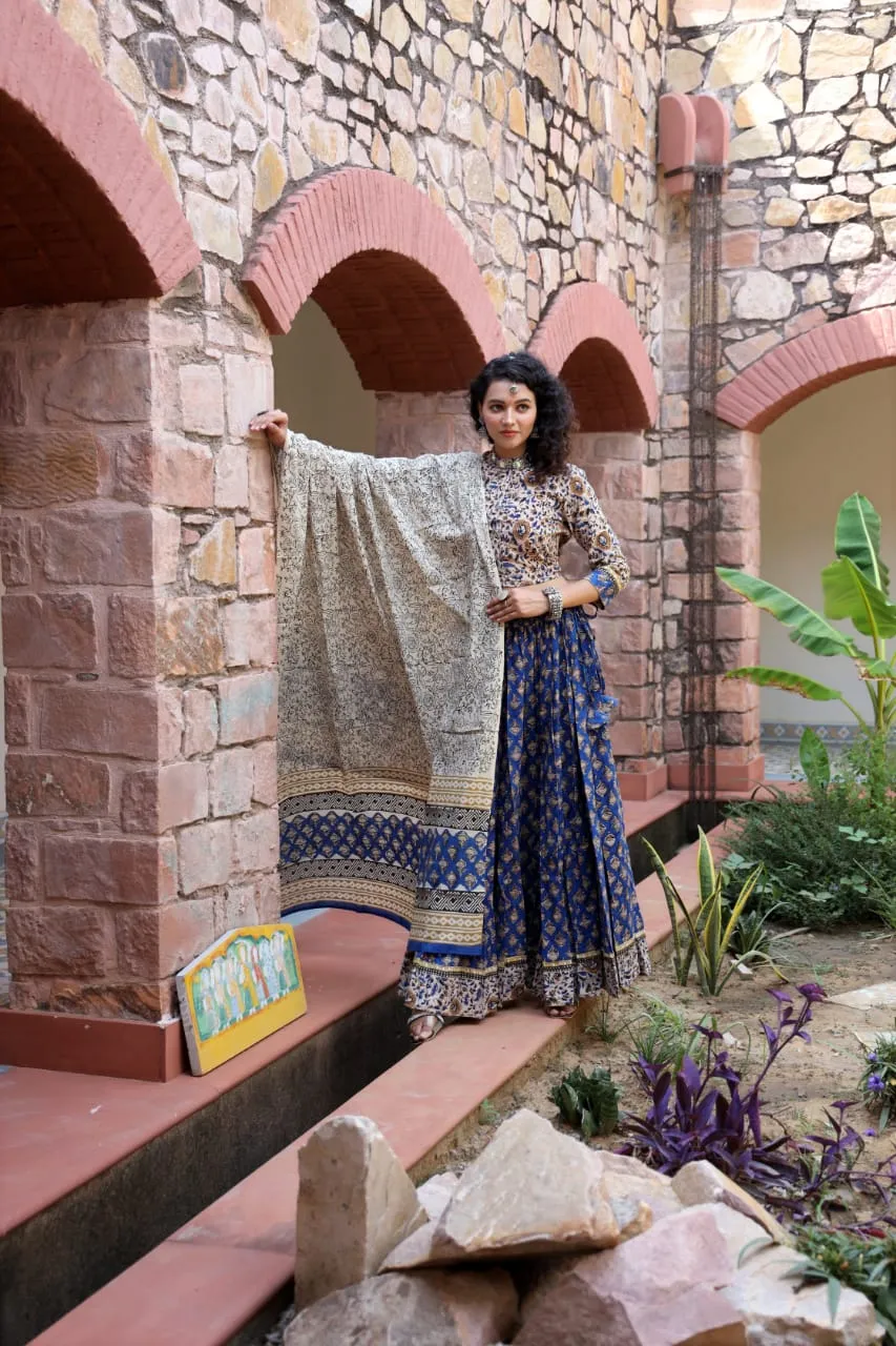 Designer Top & skirt Printed Lehenga